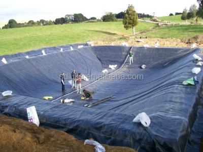 HDPE Geomembrane