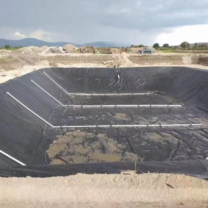 Black Dam Liner HDPE Geomembrane for Shrimp Pond 