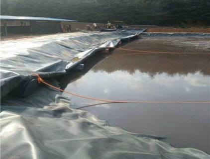 the Water Quality for  the HDPE Geomembrane's Impact