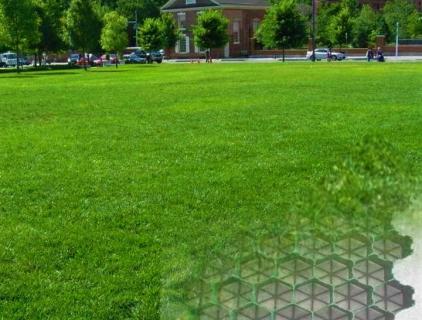 Plastic Grass Grid Effect