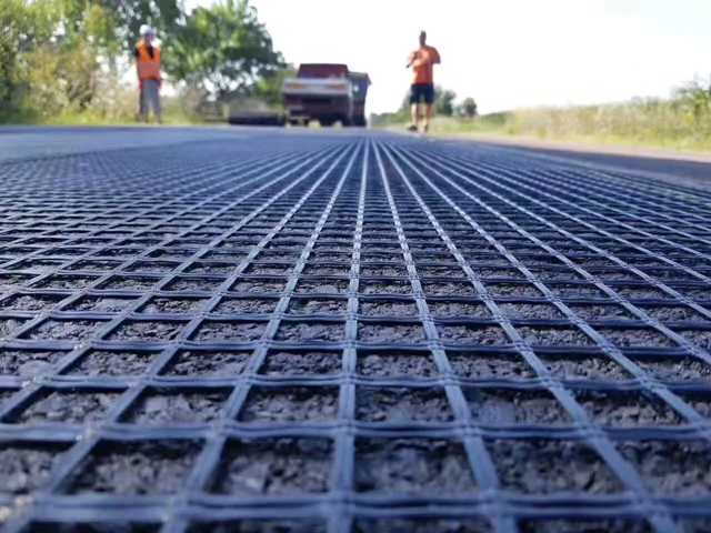 The Steel Plastic Geogrid .png