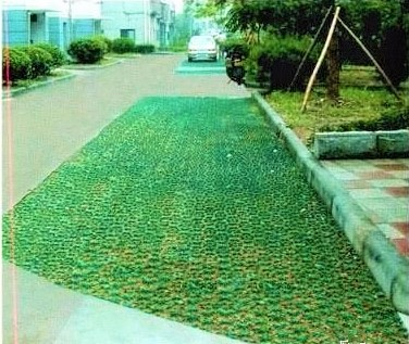 HDPE Honeycomb Plastic Recyclable Grass Paving Grid