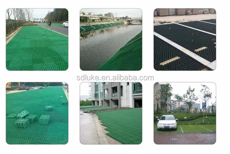 High Quality HDPE Plastic Grass Grid