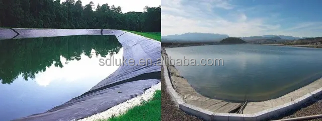 geomembrane