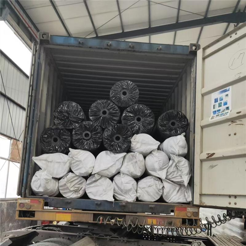 Geomembrane HDPE Packaging.jpg