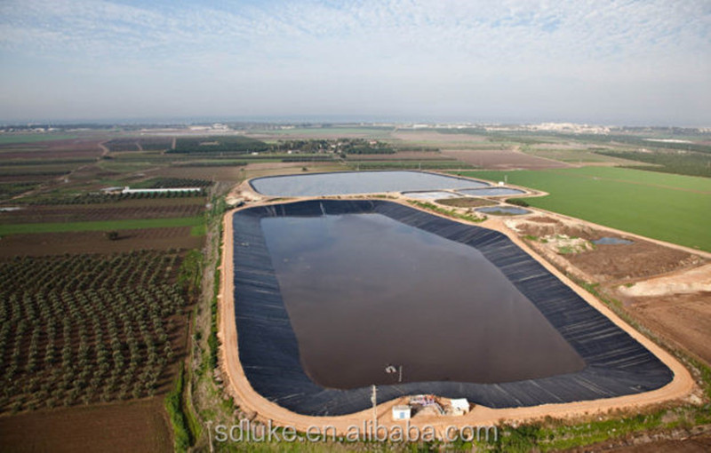 Black HDPE Geomembrane Pond Liner For Sale.jpg