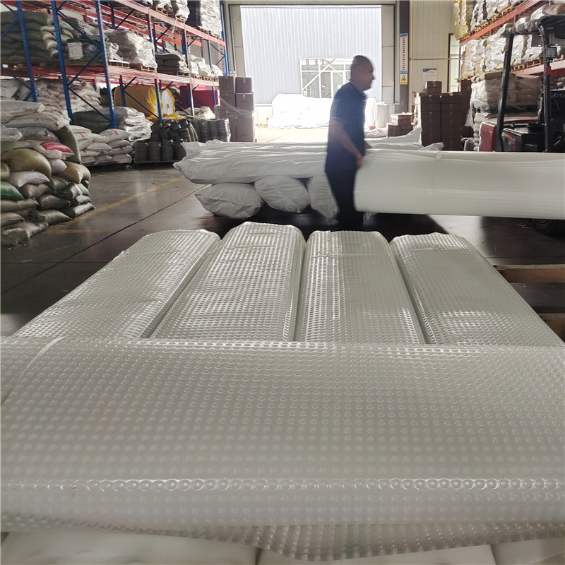 Plastic Dimple Board Drainage For Landscape Engineering.jpg