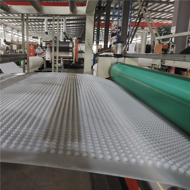 High Density Polyethylene Drainage Dimple Board Sheet.jpg