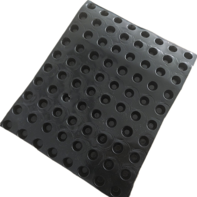 10~30mm Height  Drainage Dimple Board.jpg