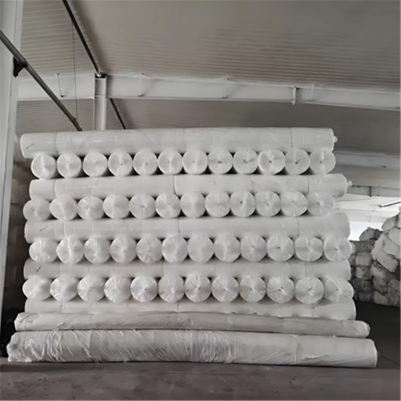 PP PET Staple Fiber Long Fiber Geotextile .jpg